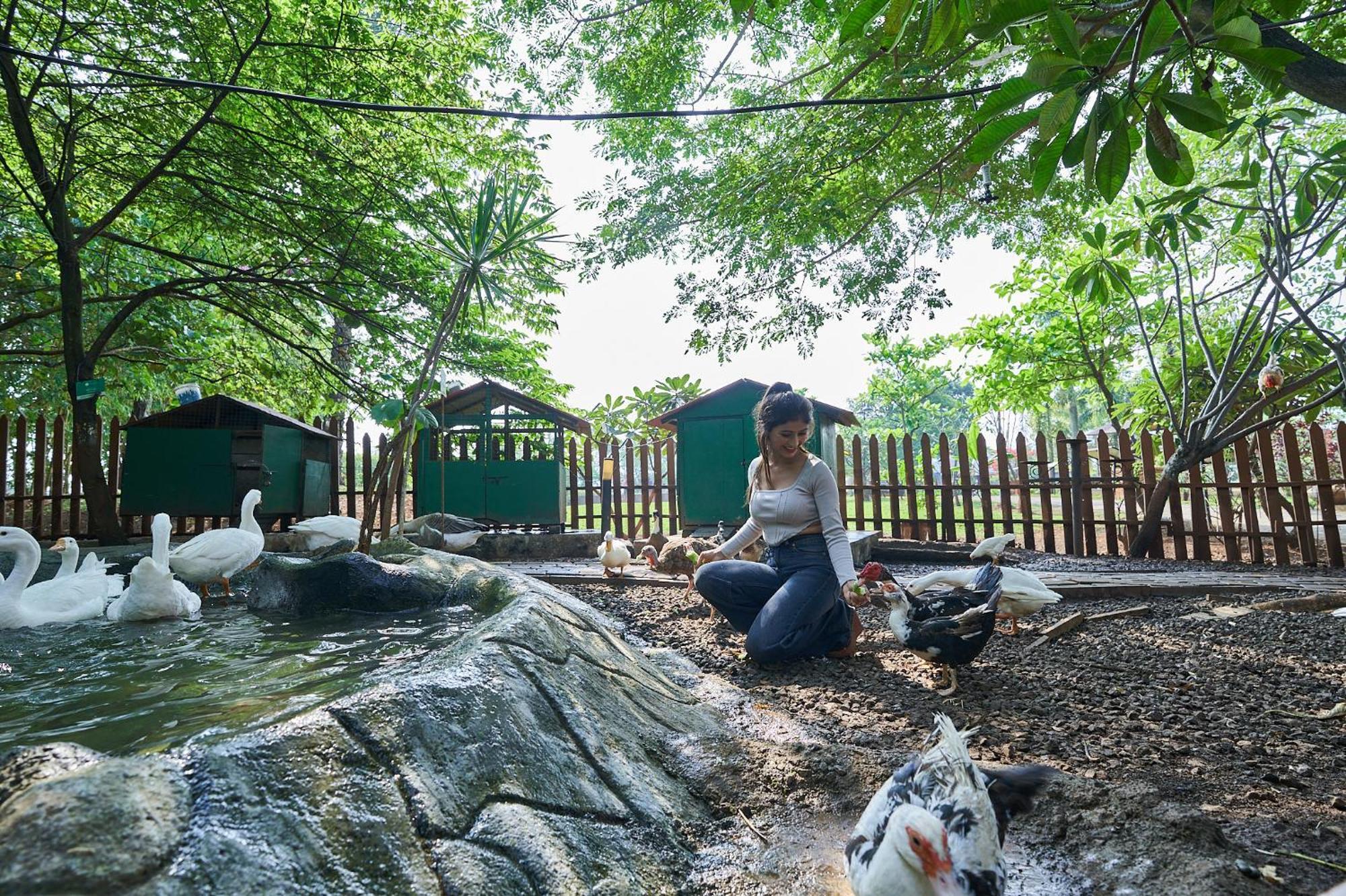 Grape County Eco Resort & Spa, Насик Экстерьер фото
